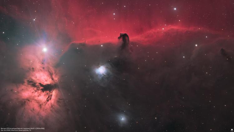 Horsehead-Nebula-Signed.png